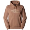 Camisola com capuz the north face DREW PEAK LIGHT AR4