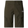 Pantalone the north face EXPLORATION SHORT New Taupe Green