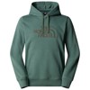 Camisola com capuz the north face DREW PEAK LIGHT AQI