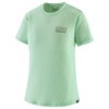  patagonia Cap Cool Merino Graphic Tee W FZRI
