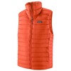  patagonia MS DOWN SWEATER VEST Raptor Brown PLNO