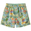 Pantalone patagonia BABY BAGGIES SHORTS Meadow Moose: Rinsed
