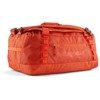  patagonia Black Hole Duffel 40L POLLINATOR