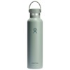 Thermos hydro flask 21 OZ STANDARD FLEX CAP BIRCH AGAVE