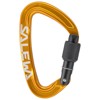 Mosquetón salewa ORTLES SCREW