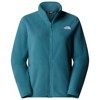 Bunda the north face GLACIER FLEECE JKT Slate Moss BQ5
