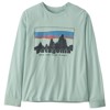  patagonia KS LS GRAPH T-SHIRT Fitz Roy Foliage: Ne SLVI