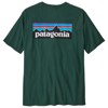 Camiseta patagonia P-6 Logo Respon Tee CASG