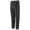 Pantalon patagonia QUANDARY JOGGERS Forge Grey BLK