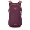  osprey Daylite MOODY BURG