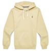 Sweatshirt cotopaxi UP AND UP PULLOVER HOODIE Grain
