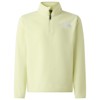 Fleece the north face TEEN GLACIER 1/4 ZIP Slate Moss G6O