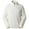 Polar the north face GLACIER FLEECE 1/4 ZIP JKT Burnt Umber QLI