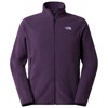 Striukė the north face GLACIER FLEECE JKT G5O