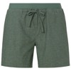 Bukser vaude REDMONT SHORTS III Linen AGAVE
