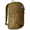 the north face  Rodey BROWN